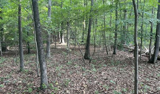 Photo #19 of SOLD property in 0000 Deer Run Trail, Mebane, NC 3.8 acres