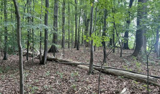 Photo #20 of SOLD property in 0000 Deer Run Trail, Mebane, NC 3.8 acres