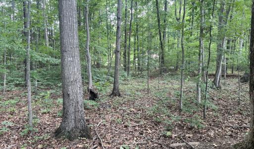 Photo #21 of SOLD property in 0000 Deer Run Trail, Mebane, NC 3.8 acres