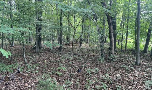 Photo #22 of SOLD property in 0000 Deer Run Trail, Mebane, NC 3.8 acres