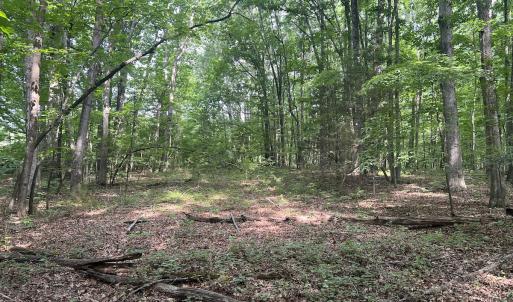 Photo #24 of SOLD property in 0000 Deer Run Trail, Mebane, NC 3.8 acres