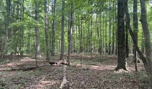 Photo #25 of SOLD property in 0000 Deer Run Trail, Mebane, NC 3.8 acres