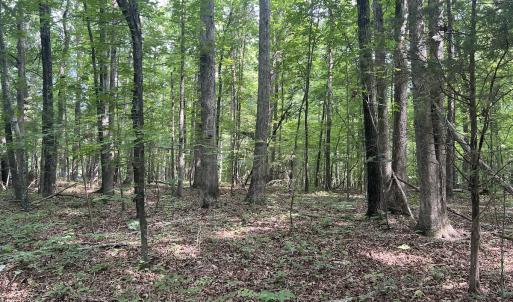 Photo #26 of SOLD property in 0000 Deer Run Trail, Mebane, NC 3.8 acres