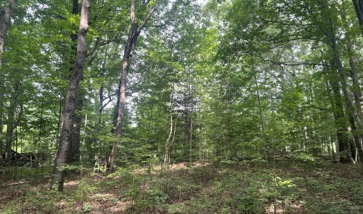 Photo #27 of SOLD property in 0000 Deer Run Trail, Mebane, NC 3.8 acres