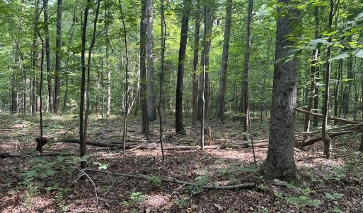 Photo #28 of SOLD property in 0000 Deer Run Trail, Mebane, NC 3.8 acres