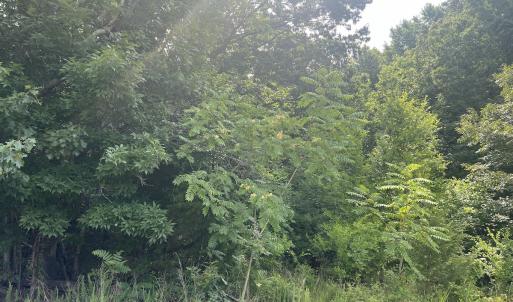 Photo #29 of SOLD property in 0000 Deer Run Trail, Mebane, NC 3.8 acres