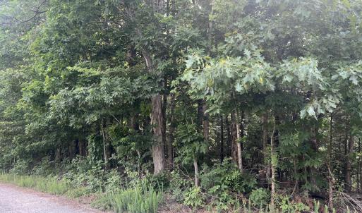 Photo #30 of SOLD property in 0000 Deer Run Trail, Mebane, NC 3.8 acres