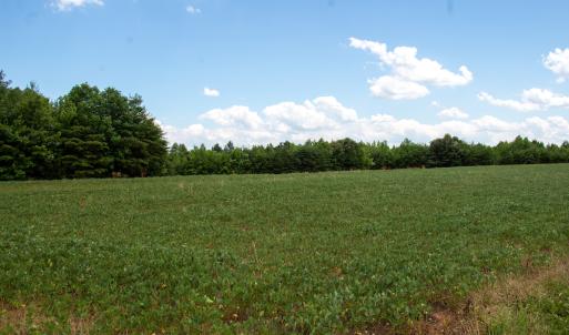 Photo #11 of SOLD property in Off E Elkhorn Rd, Java, VA 34.4 acres