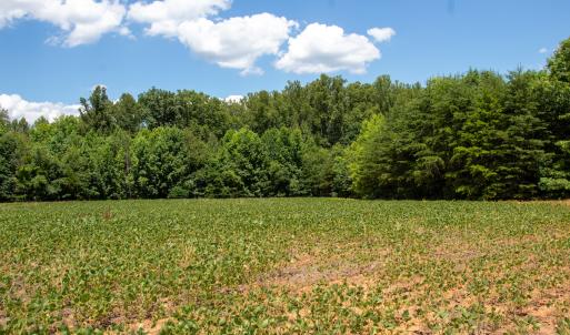 Photo #13 of SOLD property in Off E Elkhorn Rd, Java, VA 34.4 acres