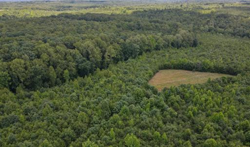 Photo #14 of SOLD property in Off E Elkhorn Rd, Java, VA 34.4 acres