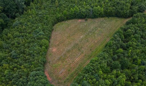 Photo #15 of SOLD property in Off E Elkhorn Rd, Java, VA 34.4 acres