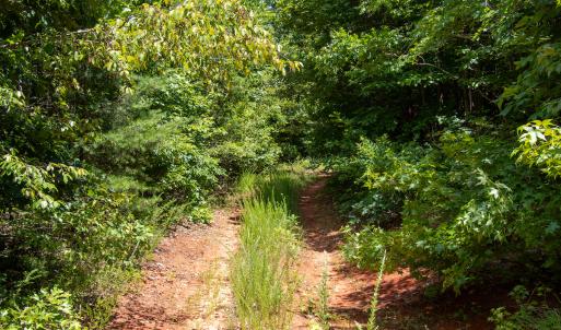 Photo #16 of SOLD property in Off E Elkhorn Rd, Java, VA 34.4 acres