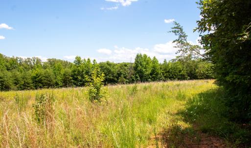 Photo #19 of SOLD property in Off E Elkhorn Rd, Java, VA 34.4 acres