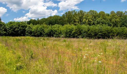 Photo #20 of SOLD property in Off E Elkhorn Rd, Java, VA 34.4 acres