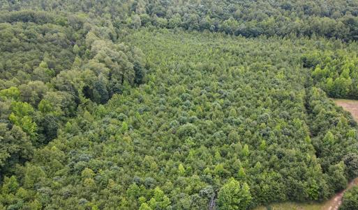 Photo #21 of SOLD property in Off E Elkhorn Rd, Java, VA 34.4 acres