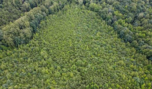 Photo #22 of SOLD property in Off E Elkhorn Rd, Java, VA 34.4 acres