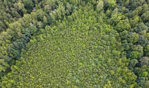 Photo #23 of SOLD property in Off E Elkhorn Rd, Java, VA 34.4 acres