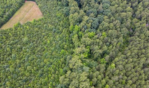 Photo #24 of SOLD property in Off E Elkhorn Rd, Java, VA 34.4 acres