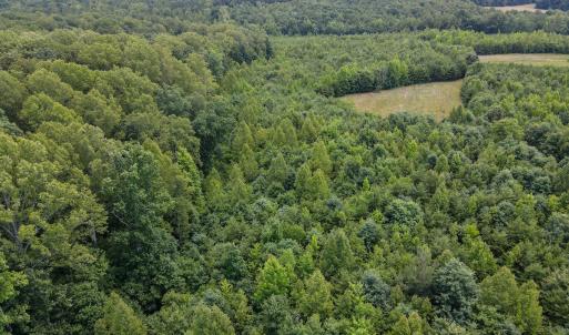 Photo #27 of SOLD property in Off E Elkhorn Rd, Java, VA 34.4 acres