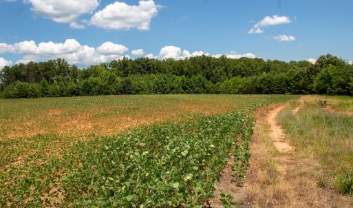 Photo #6 of SOLD property in Off E Elkhorn Rd, Java, VA 34.4 acres
