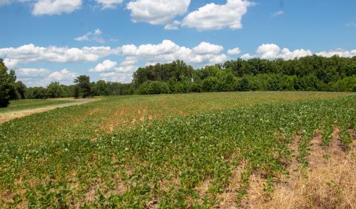 Photo #8 of SOLD property in Off E Elkhorn Rd, Java, VA 34.4 acres