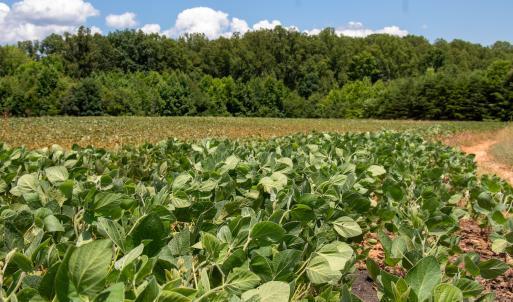 Photo #9 of SOLD property in Off E Elkhorn Rd, Java, VA 34.4 acres
