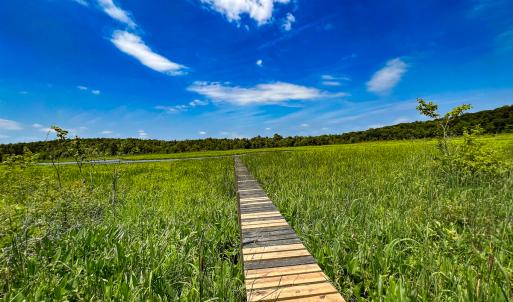 Photo #4 of Off Tidewater Trail, Caret, VA 115.1 acres