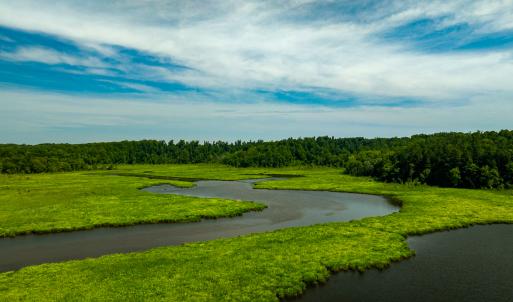 Photo #6 of Off Tidewater Trail, Caret, VA 115.1 acres