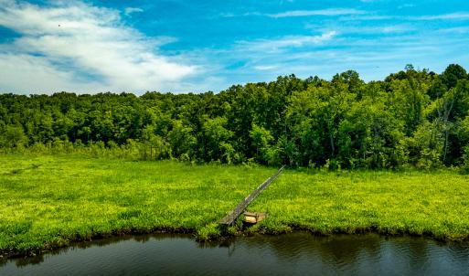 Photo #7 of Off Tidewater Trail, Caret, VA 115.1 acres