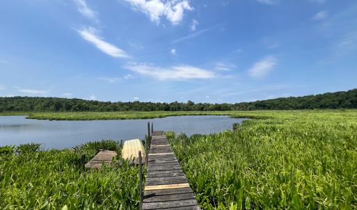 Photo #8 of Off Tidewater Trail, Caret, VA 115.1 acres