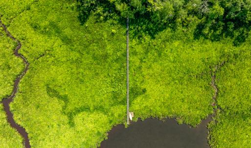 Photo #9 of Off Tidewater Trail, Caret, VA 115.1 acres