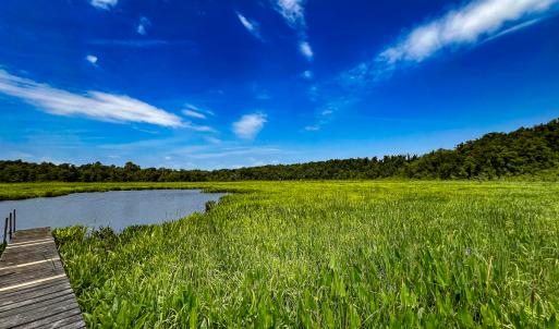 Photo #10 of Off Tidewater Trail, Caret, VA 115.1 acres