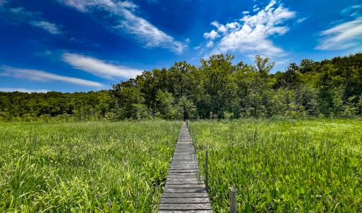 Photo #12 of Off Tidewater Trail, Caret, VA 115.1 acres