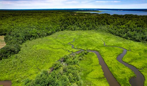 Photo #14 of Off Tidewater Trail, Caret, VA 115.1 acres