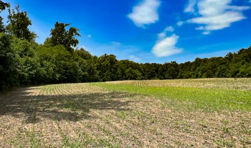 Photo #17 of Off Tidewater Trail, Caret, VA 115.1 acres