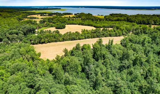 Photo #20 of Off Tidewater Trail, Caret, VA 115.1 acres