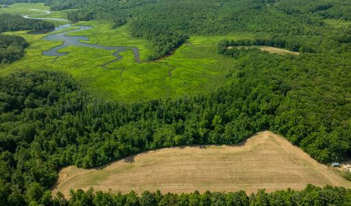 Photo #21 of Off Tidewater Trail, Caret, VA 115.1 acres