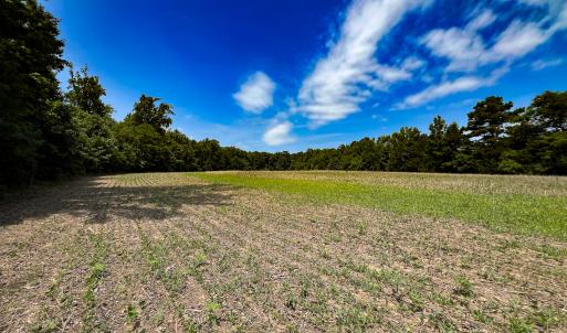 Photo #22 of Off Tidewater Trail, Caret, VA 115.1 acres