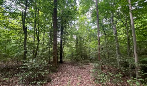 Photo #26 of Off Tidewater Trail, Caret, VA 115.1 acres