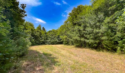 Photo #27 of Off Tidewater Trail, Caret, VA 115.1 acres