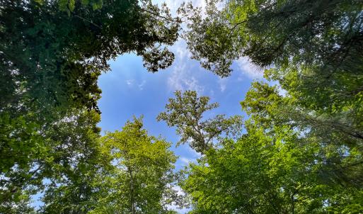 Photo #28 of Off Tidewater Trail, Caret, VA 115.1 acres