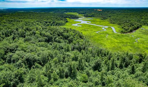 Photo #32 of Off Tidewater Trail, Caret, VA 115.1 acres
