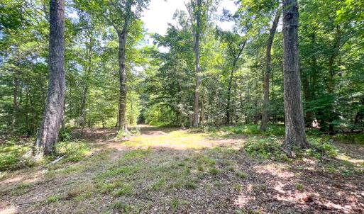 Photo #33 of Off Tidewater Trail, Caret, VA 115.1 acres