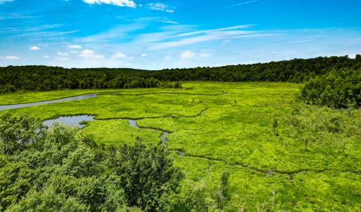 Photo #35 of Off Tidewater Trail, Caret, VA 115.1 acres