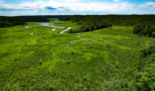 Photo #36 of Off Tidewater Trail, Caret, VA 115.1 acres