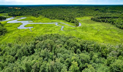 Photo #37 of Off Tidewater Trail, Caret, VA 115.1 acres