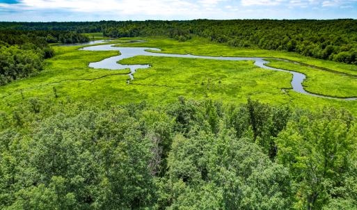 Photo #38 of Off Tidewater Trail, Caret, VA 115.1 acres
