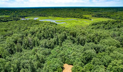 Photo #41 of Off Tidewater Trail, Caret, VA 115.1 acres