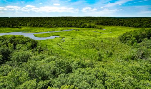 Photo #43 of Off Tidewater Trail, Caret, VA 115.1 acres