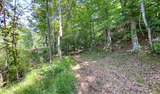 Photo #44 of Off Tidewater Trail, Caret, VA 115.1 acres